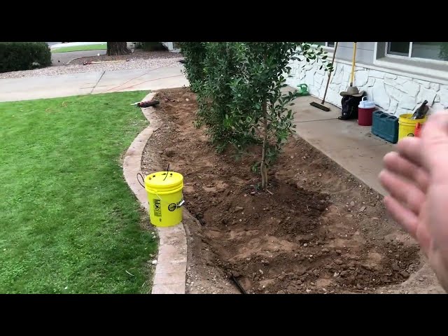 Front Yard Renovation with Basins