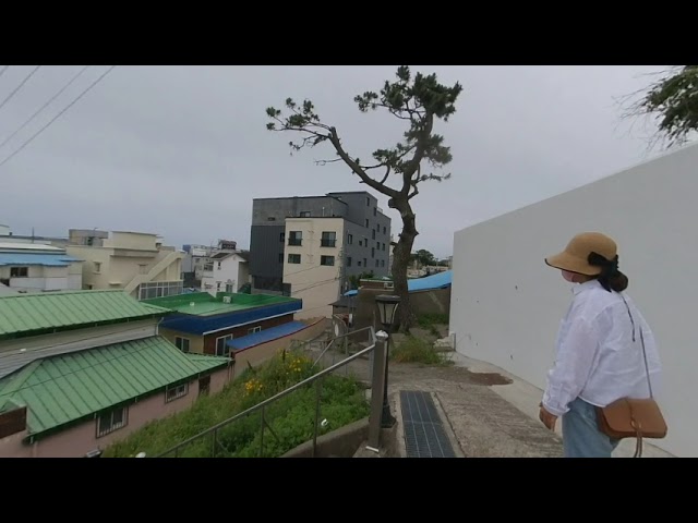 한국여행 양양 해국길 180도 3D영상 Trip to Korea, Yangyang Haeguk-gil, 180 degrees 3D video