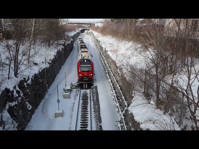 Stadler Flirts on the switch between Corso Italia and Dow's Lake stations.