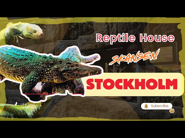 Stockholm Reptile House (Part 3) Skansen Aquarium；斯德哥尔摩爬馆（三）