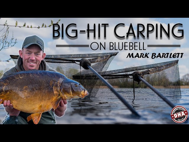 BIG-HIT CARPING ON BLUEBELL LAKES | DNA BAITS | CARP FISHING | MARK BARTLETT