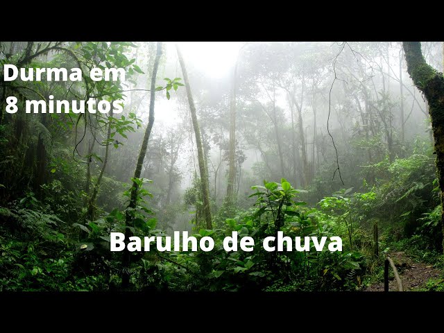 Som de chuva para dormir e relaxar - DURMA EM 8 MINUTOS - barulho de chuva relaxante 😴🌕💤