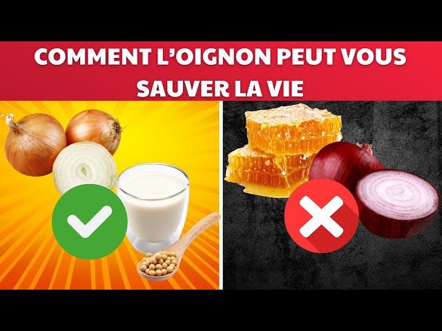 Comment l’oignon peut vous sauver la vie : les secrets incroyables de ce légume magique |Fact24h