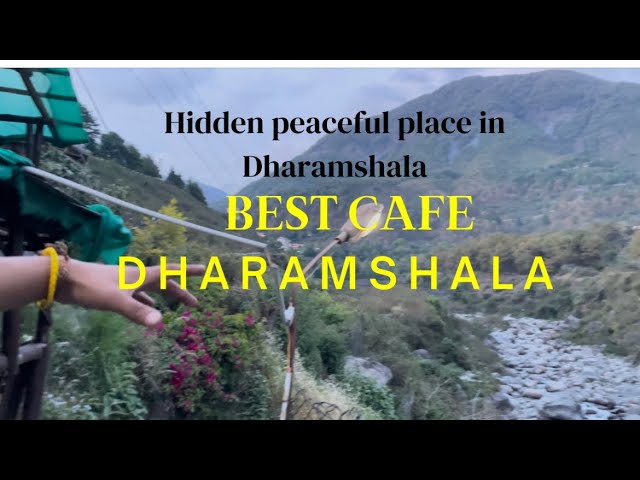 Amazing peaceful and most Beautiful cafe In Dharamshala l Cafe l