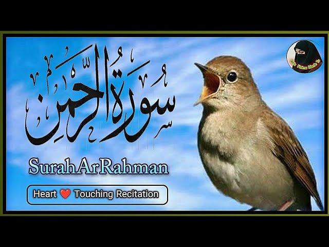 Surah Rahman Ki Tilawat | Surah Rehman full | surah rahman tilawat | Episode 162