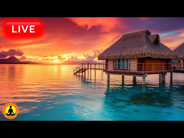 🔴 Relaxing Music 24/7 🌊2293, Stress Relief Music, Sleeping Music, Meditation Music, Calming Music