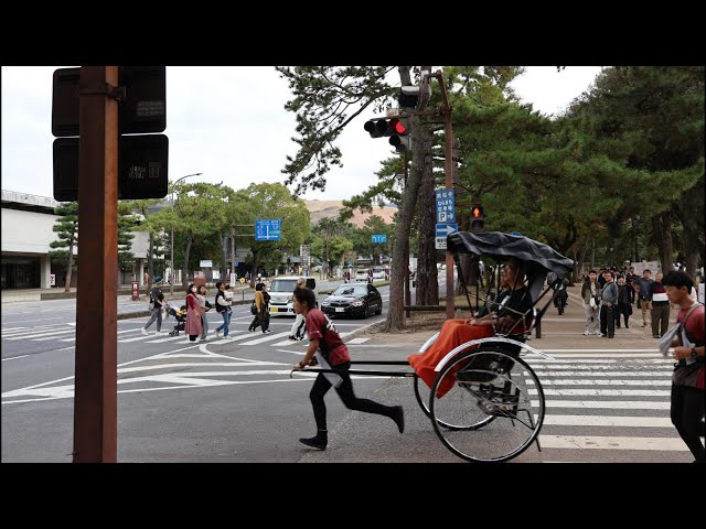 Exploring Nara Japan with my DJI mini | Solo travel Vlog 4K