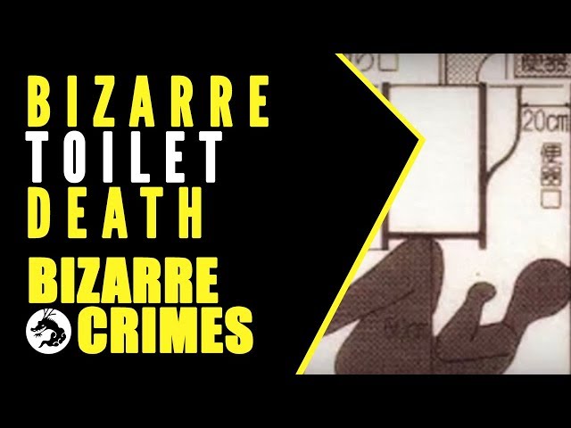 Bizarre Crimes & Disappearances: Bizarre Toilet Death