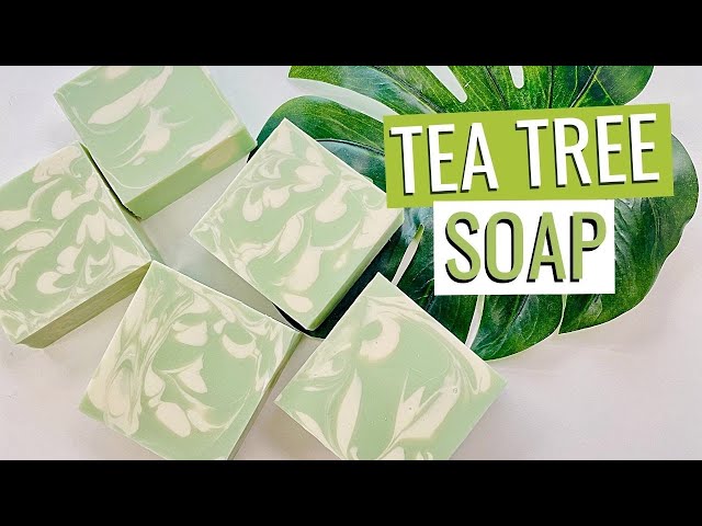 How To Make Tea Tree Soap | Learn To Make Your Own Tea Tree Soap At Home