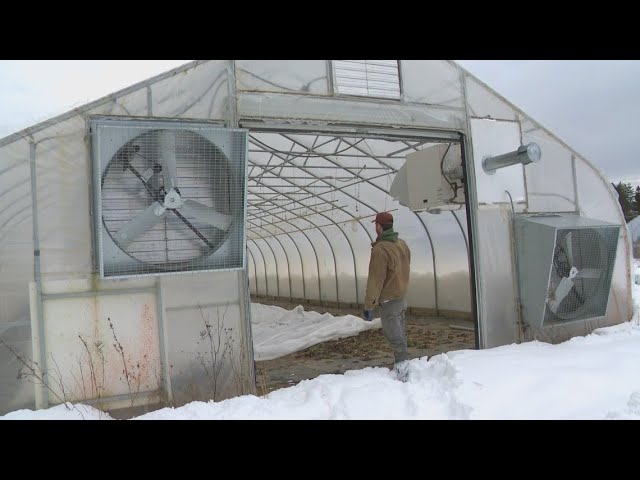 Maine farmers report impacts from Trump's federal funding freeze