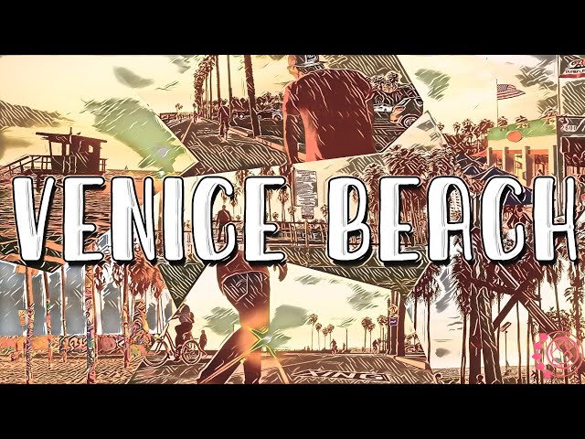 VENICE BEACH - Animation 3D (SketchUp 2024 & Lumion 2024)