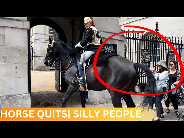 HORSE QUITS BUT SILLY PEOPLE DON’T KNOW WHEN TO QUIT!