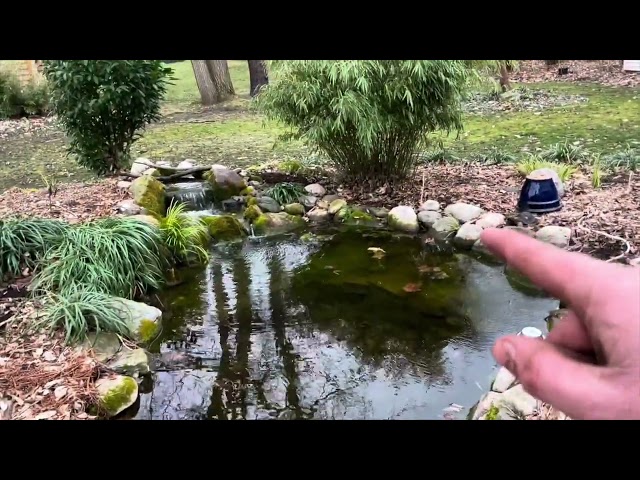 Selecting Rock for Your Water Feature | the Barefooted Gardener