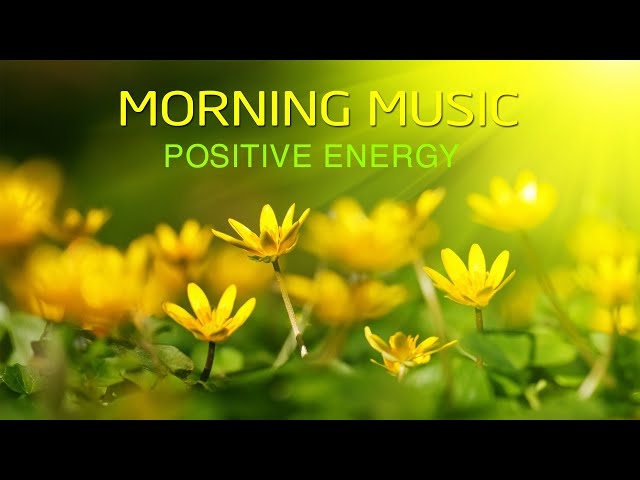 Morning Music For Pure Clean Positive Energy Vibration 🌞Music For Meditation, Stress Relief, Healing