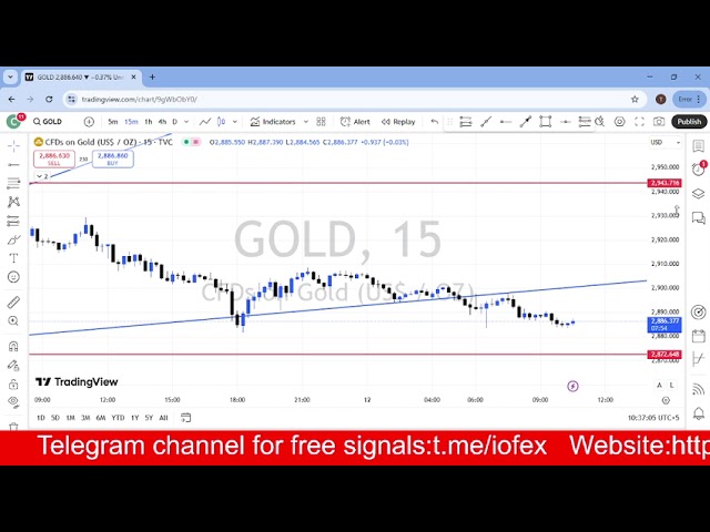 GOLD DAILY FORCAST UPDATE | 12 FEBRUARY 2025 | XAUUSD|