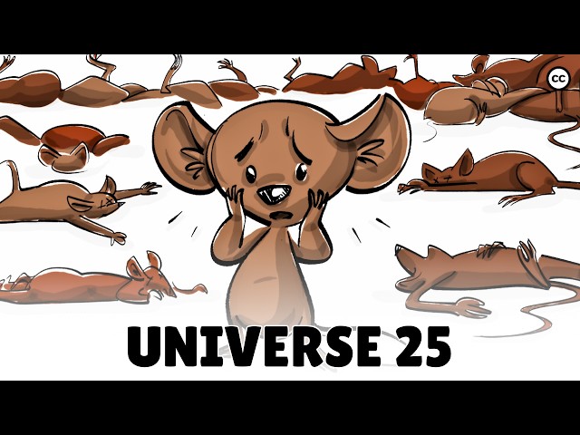 The Universe 25 Experiment [All Mice Died]