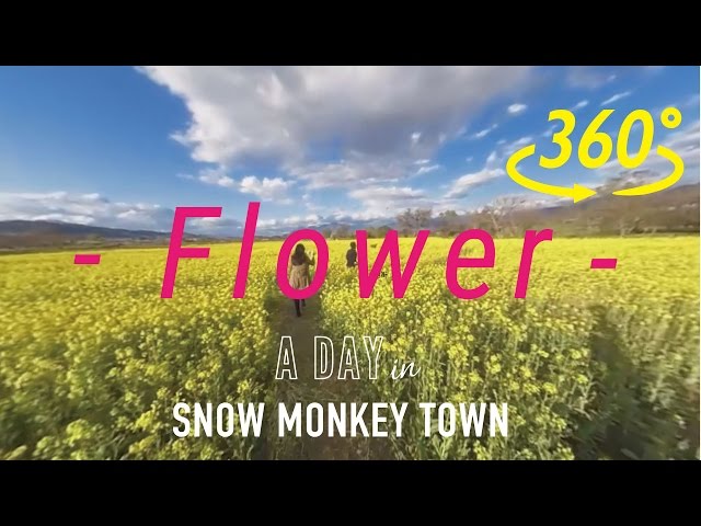 360 Flower in Japan ,Snow Monkey Town