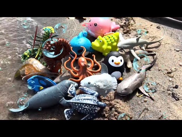 Ocean Animals for Kids   Learn Sea Animals for Kids + Toddlers!