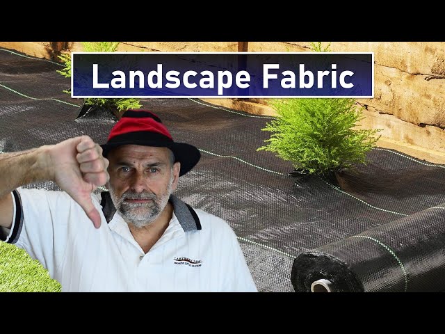 Don't Use Landscape Fabric or Weed Barrier