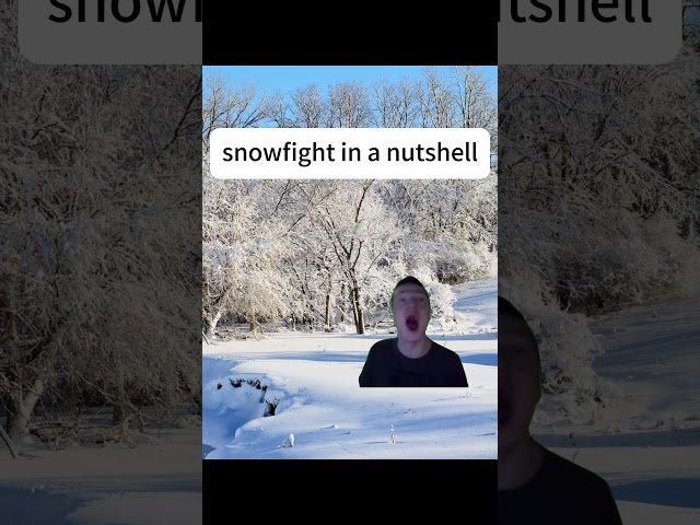 Snow fight in a nutshell #memes #fyp #mellstroy #funny ￼