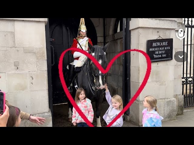 Royal King’s Horse Guard | Cute Baby and King’s Guard Horse Show Love