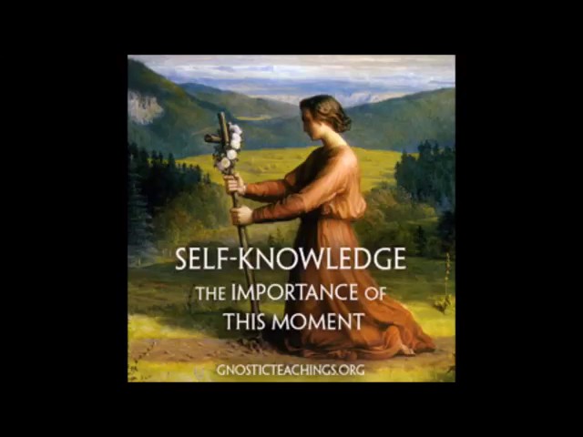 Self knowledge 01 The Importance of This Moment Gnostic Audio Lecture