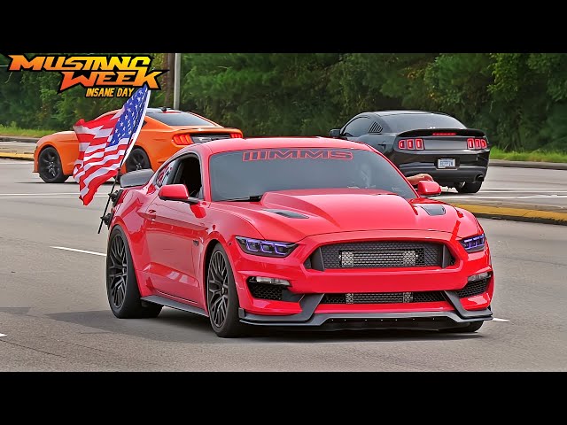 Mustang Week 2024 Car Show Pullouts, Full Sends, & Cops - The Movie!