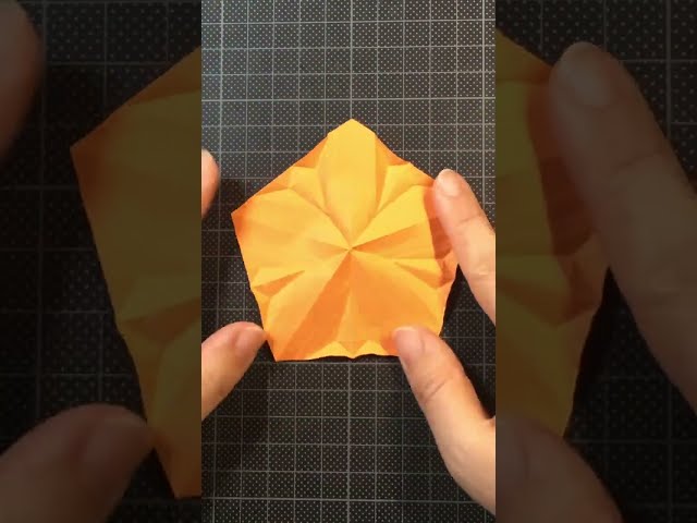 Origami Kopok Flower 018