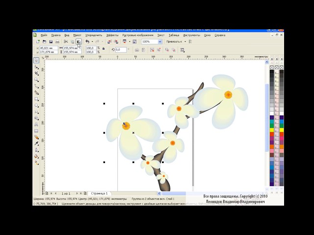 How to draw a flower in Corel Draw