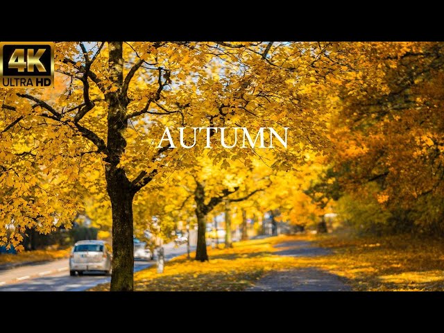 4K Enchanting Autumn Nature Scenes + Relaxing Piano Music for Stress Relief, 1Mmix Earth Relaxation1