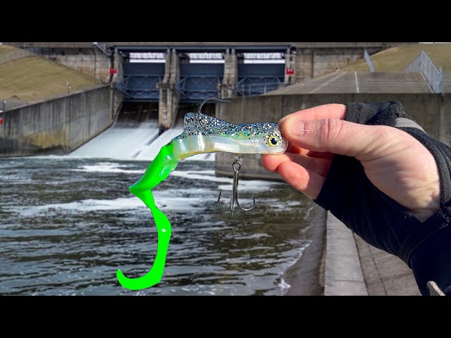 A RARE Fish Lives in this GIANT Spillway!!! (SURPRISE Catch!)