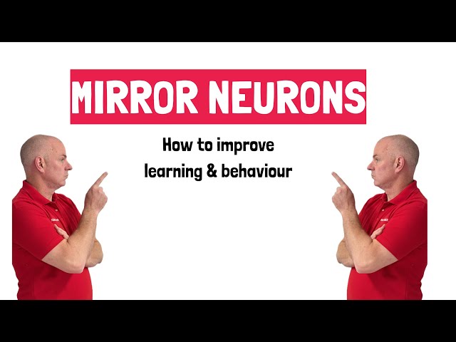 How Mirror Neurons Shape Learning & Student Behaviour