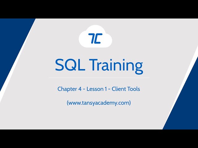 Tansy SQL Course | MySQL Query Editor | Chapter 4 | Lesson 1