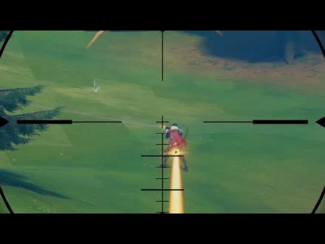 Sniper shots video