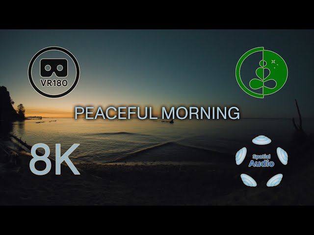 PEACEFUL MORNING  VR180 with Spatial Audio.  8K