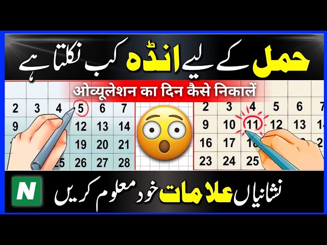 How To Calculate Ovulation Day in Hindi/Urdu | Ovulation Symptoms | Fertile Days | Length of Cycle