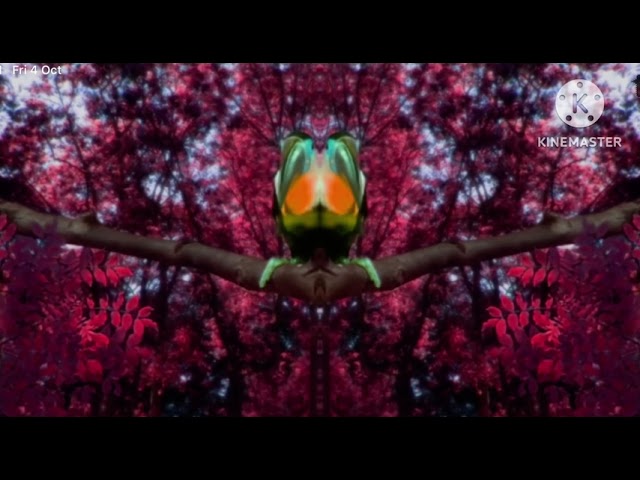 In The Night Garden Birds Compilation In G Major 19