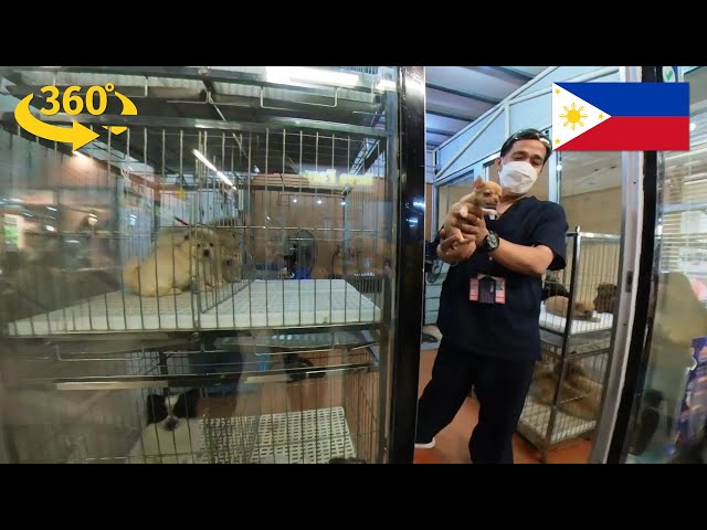 360 Tour of Tiendesitas - The Center of Pet Shops, Cats and Dogs in Manila