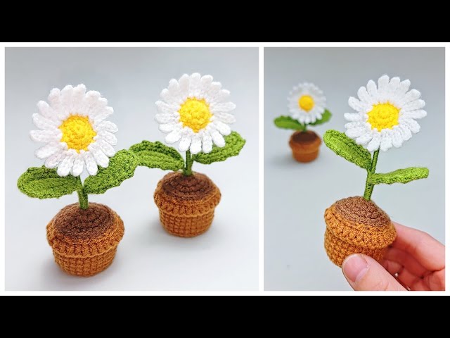 How to crochet a mini daisy potted plant – simple & fresh!