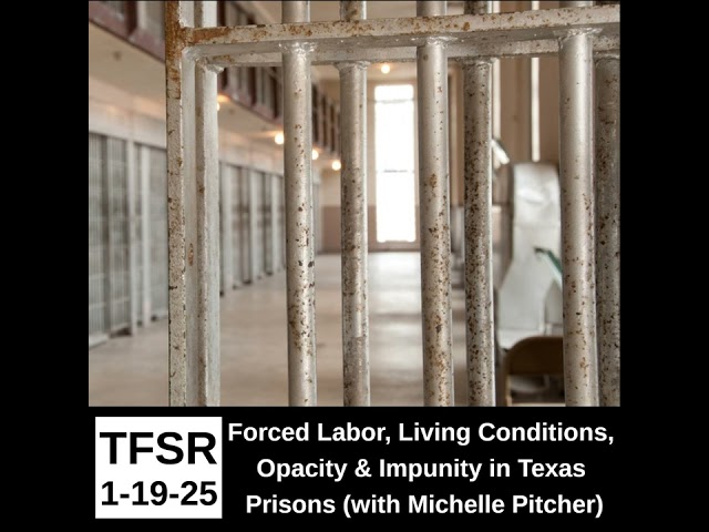 Forced Labor, Living Conditions, Opacity and Impunity in Texas Prisons (with Michelle Pitcher)