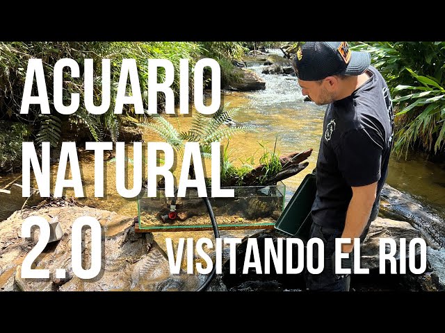 ACUARIO NATURAL 2.0 / AQUAMARKET ESTA DE VUELTA!