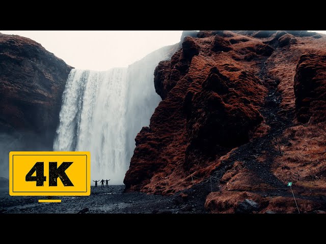 Top 100 Free Stock Videos - 4K Nature Free Stock Footage - Free Download in Pexels