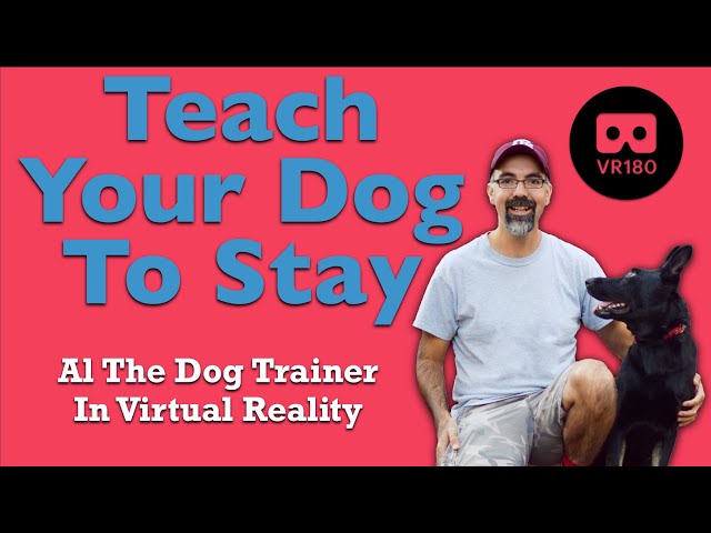 How to Teach Your Dog to Stay In VR180 - The Principles