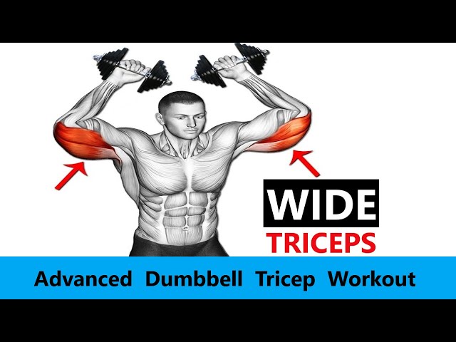 DUMBBELL TRICEP WORKOUT  MUSCLE BUILDING WORKOUT  ADVANCED WORKOUT