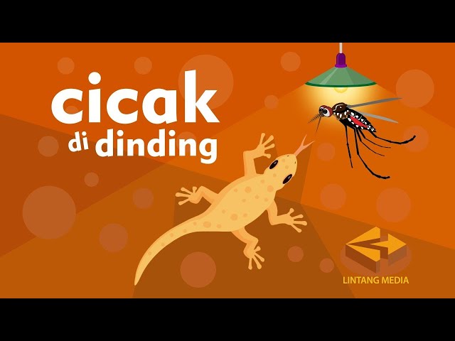 Cicak Cicak di Dinding - Lintang Media