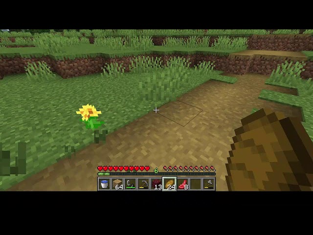 minecraft live