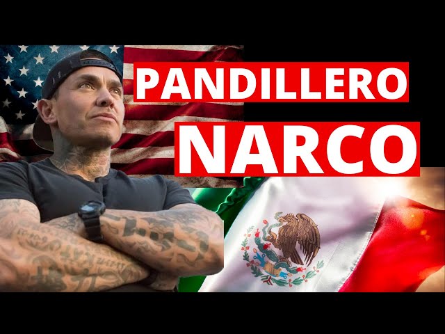 DE PANDILLERO A NARCO | MOROLEON GUANAJUATO| CARCEL EN MEXICO Y USA