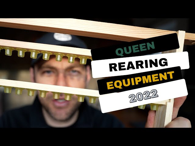 Queen Rearing Equipment And Why I Am Ditching NICOT Cups