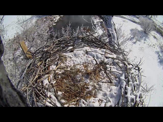 Fort St. Vrain Eagles, Top Camera View