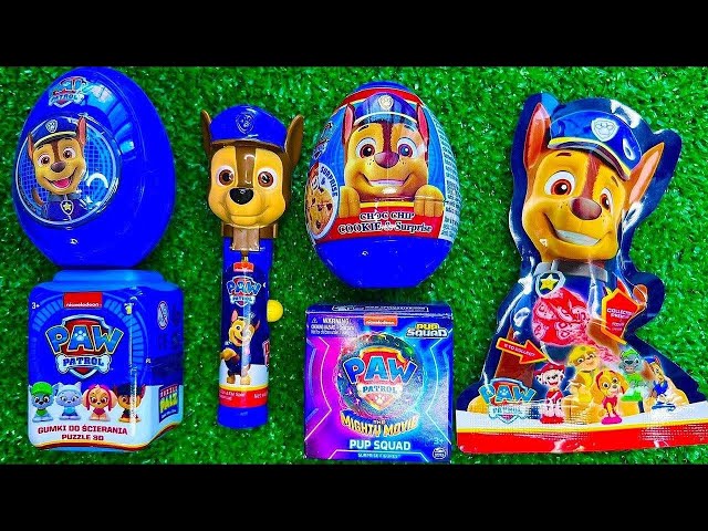 [ 🐩Paw Patrol ] ASMR Unboxing | NO talking video